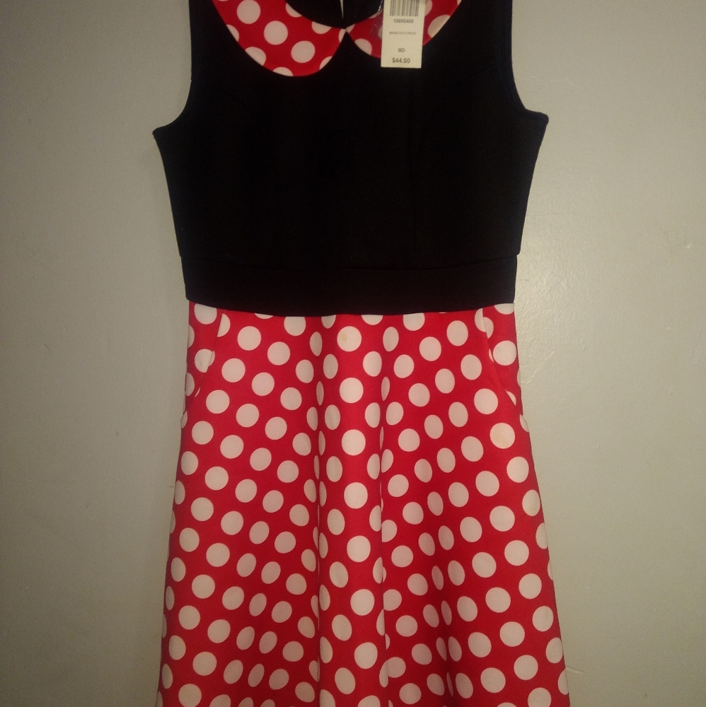 Minnie mouse dress costume